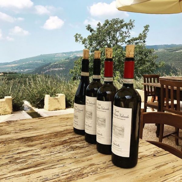 Vineyard and Winery Tour with Wine Tasting