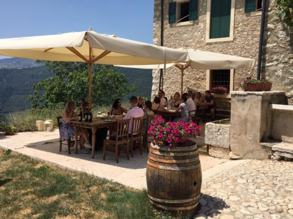 Vineyard and Winery Tour with Wine Tasting - Image 4
